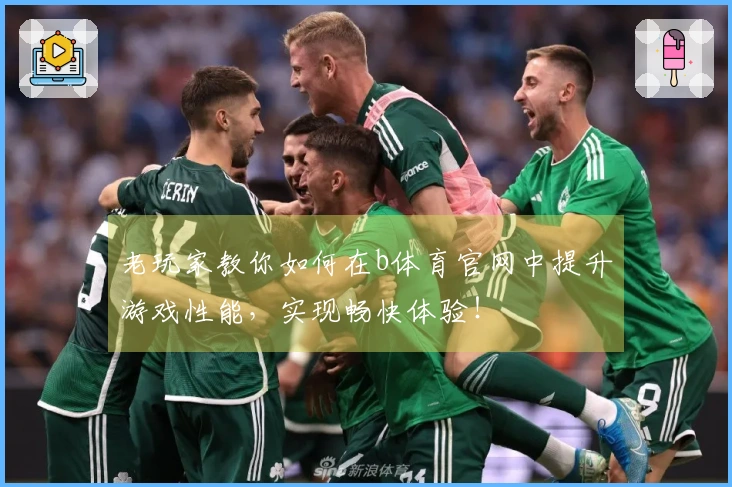 老玩家教你如何在b体育官网中提升游戏性能，实现畅快体验！