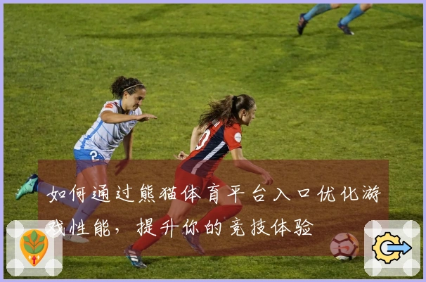 如何通过熊猫体育平台入口优化游戏性能，提升你的竞技体验