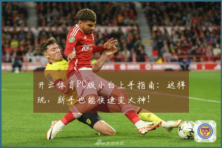 开云体育PC版小白上手指南：这样玩，新手也能快速变大神！