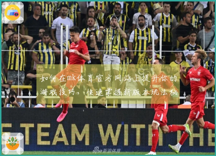 如何在mk体育官方网站上提升你的游戏技巧，快速掌握新版本玩法秘诀